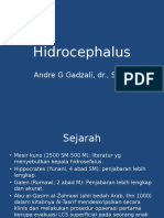 Hidrocephalus