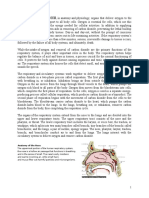 Respiratory System: Anatomy of The Nose