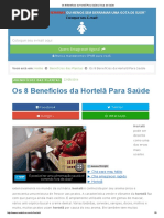 Os 8 Benefícios Da Hortelã Para Saúde _ Dicas de Saúde