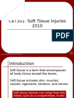 CBT301: Soft Tissue Injuries 2010: © 2010 Seattle / King County EMS