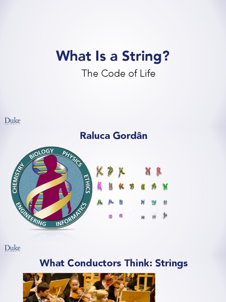 Understanding Strings in DNA and Life | PDF | Gene | Macromolecules