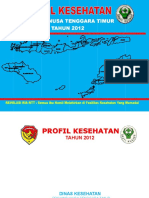 19 Profil Kes.prov.NTT 2012