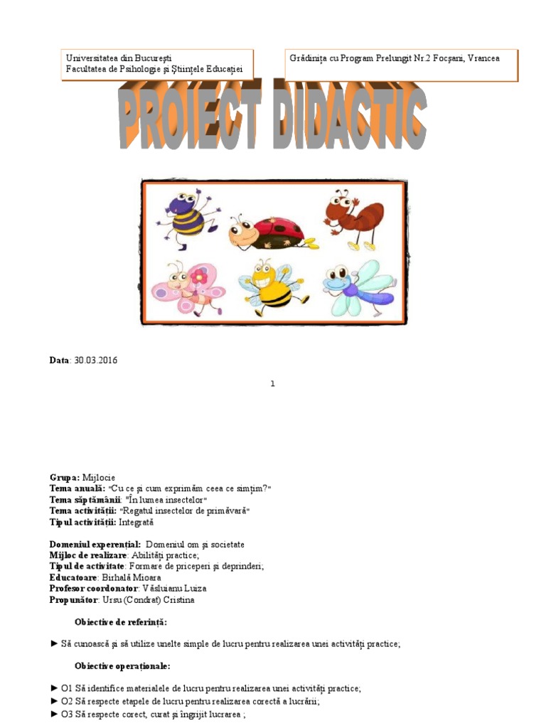 Proiect Insectele Gradinita | PDF