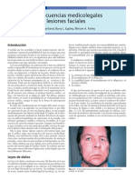 2 Consecuencias Medicolegales de Las Lesiones Faciales 2005 Traumatismos Maxilofaciales y Reconstrucci n Facial Est Tica