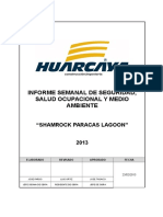 Informe Semanal de Seguridad y Salud Ocupacional