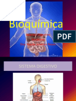 Bioquimica Digestivo