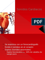 Sonidos Cardiacos