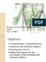 Sistema linfático pélvico