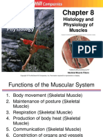 8 Muscles Intro
