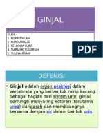 GINJAL