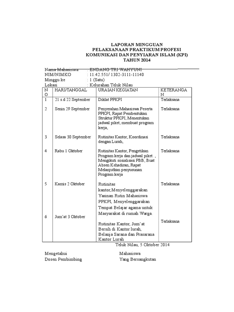 LAPORAN Mingguan | PDF