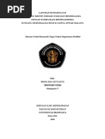 Download LP CKD Hipernatremia by didikeko SN306062456 doc pdf