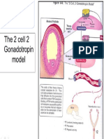 2 Cell 2 Gonadotropin