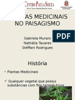 Plantas Medicinais No Paisagismo Slide