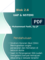 Uap Nstemi Acs - Dr. Fadil Edit