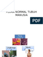 Flora Normal Tubuh Manusia