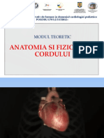 1.anatomia Si Fiziologia Corduluii