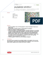 Decoupagepeglanje Salvetica PDF