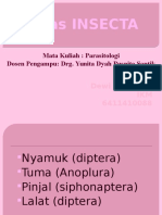 NYAMUK DAN PENYAKIT