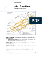 Plexo Braquial - Curso Crash