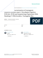 (2001) Molecular Characterization of Transgenic Shallots (Allium Cepa L.)