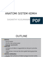 Anatomi Sistem Kemih 2