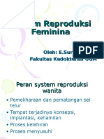 System Reproduksi Feminina