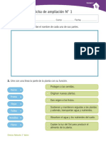 Cie1ampliacion1 - U2 Partes de Las Plantas