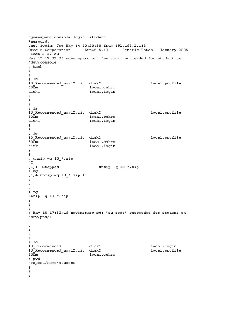 Patch Installation in Single User Mode - Solaris | PDF | Superuser ...