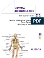 Sistema Musculo Esquelético