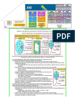 GCSE B2 - Topic 1 Building Blocks of Cells PDF