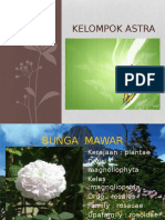 Kelompok Astra X