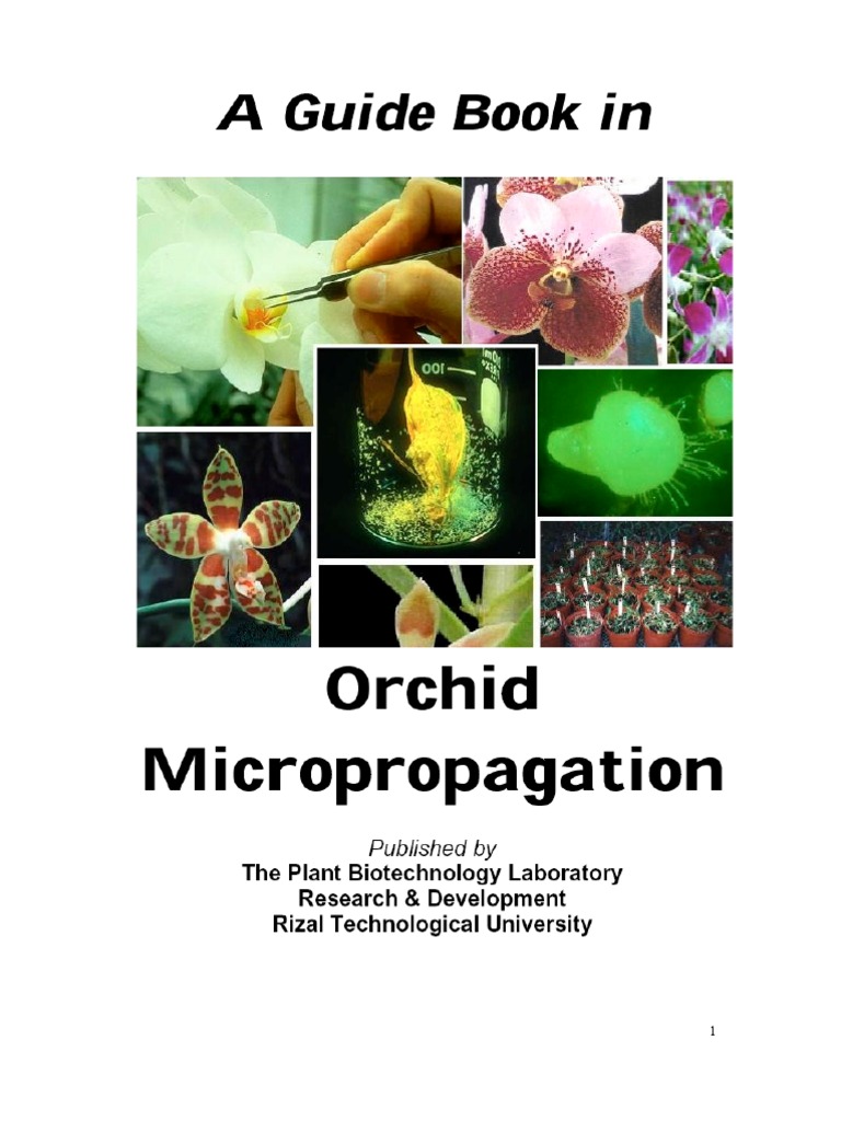 The Rtu Orchid Micro Propagation Guidebook Orchidaceae