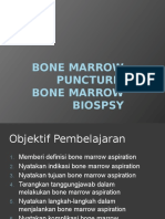 Bone Marrow Puncture