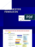 Ruta biosintética de los compuestos fenólicos