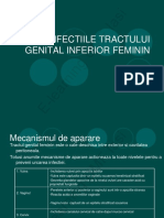 Infectiile Tract Genital Inferior 