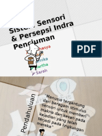 Sistem Sensori & Persepsi Indra Penciuman Edit