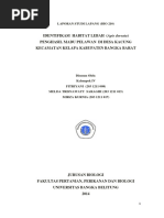 Download IDENTIFIKASI HABITAT LEBAH  Apis dorsata  PENGHASIL MADU PELAWAN  DI DESA KACUNG KECAMATAN KELAPA KABUPATEN BANGKA BARAT by KartinaTinaFuddyduddy SN306164037 doc pdf
