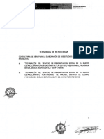 TERMINOS-DE-REFERENCIA-B-NEGRO.pdf