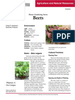 Beets: Agriculture and Natural Resources