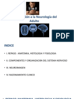 1 Clase Introducción a La Neurología Del Adulto2016marzo (2)
