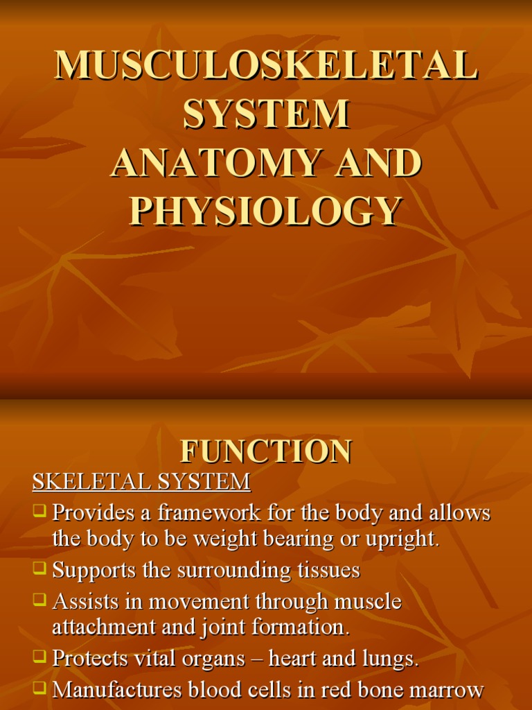 Musculoskeletal Anatomy and Physiology
