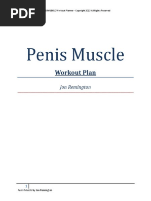Workout Plan