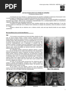 RADIOLOGIA 07 - Estudo Radiológico Do Aparelho Urinário - MED RESUMOS (JAN-2012)