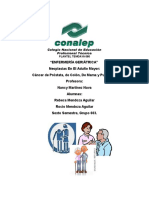 GeriAtria Neoplasia en El Adulto Mayor