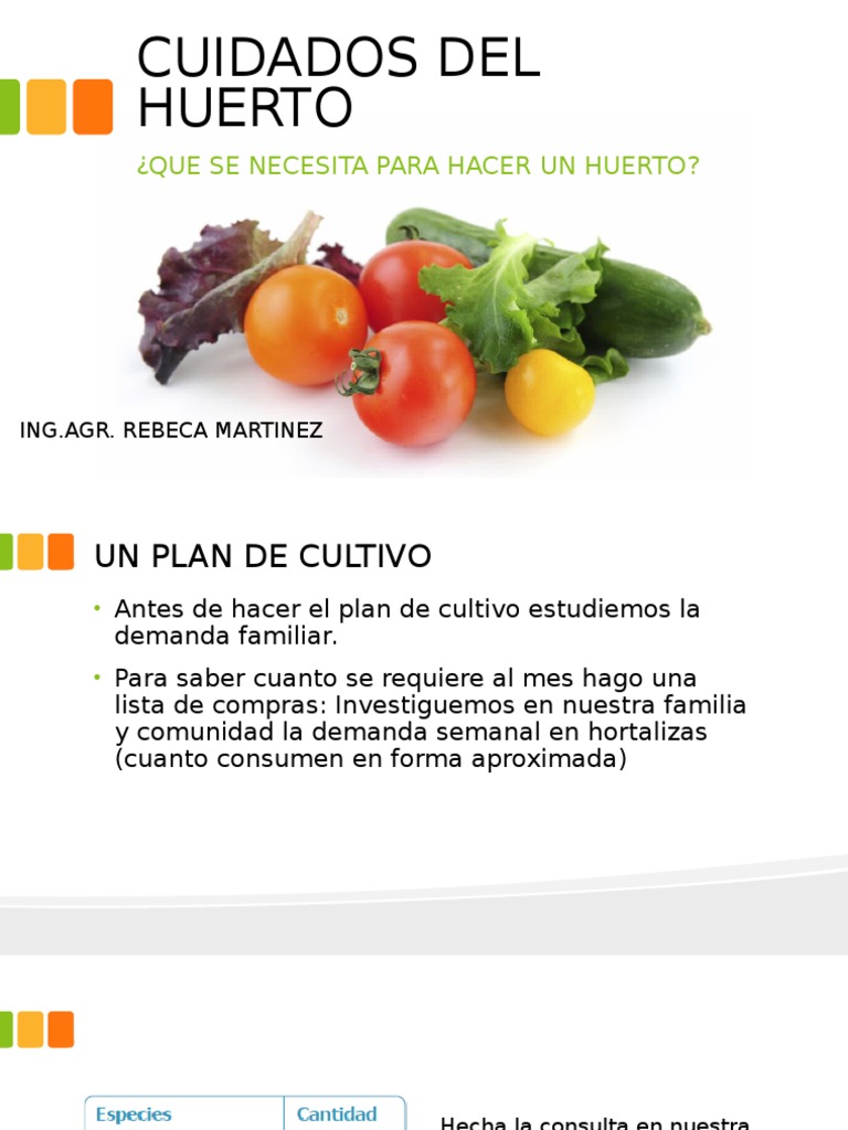 Guía Completa para Crear un Huerto | PDF | Siembra | Vegetales, image size:768x1024