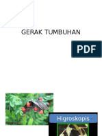 Gerak Tumbuhan