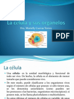 La célula14.pdf