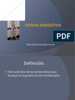 Sistema Esquelético para Clase 240 PDF