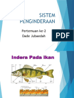 FHA_pertemuan_ke-2_sistem_indera_.pptx